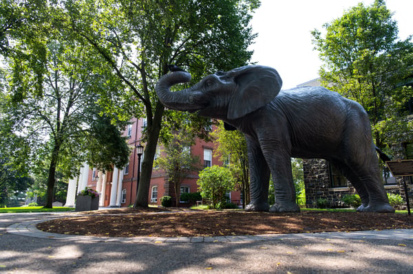 Longevity, Lifestyle, and the New Age of Aging: Inside Masterclass at Tufts University