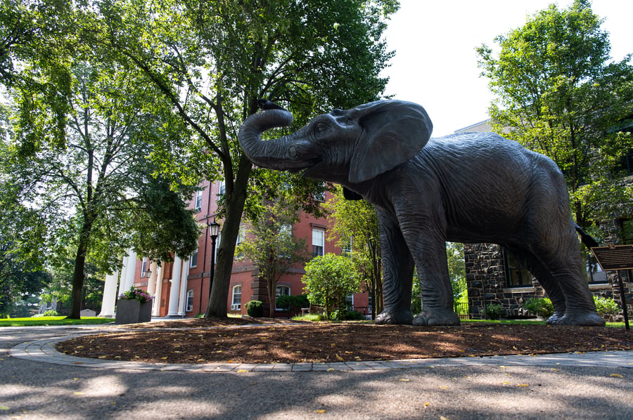 Longevity, Lifestyle, and the New Age of Aging: Inside Masterclass at Tufts University