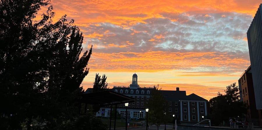 Inside Tufts’ Lab Science Investigations: Getting into the Lab