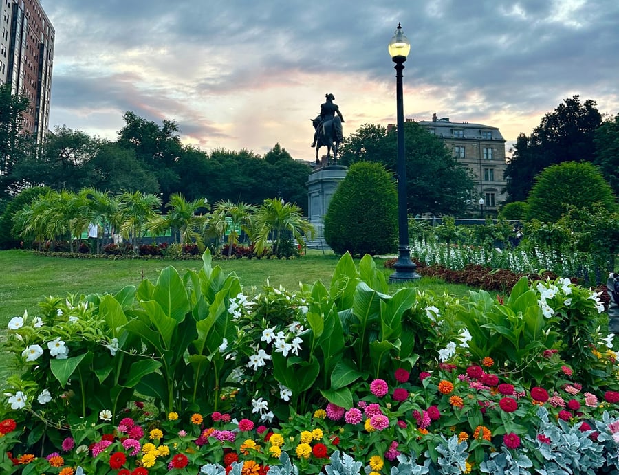 A Window Into My Future: Marketing Essentials at Tufts