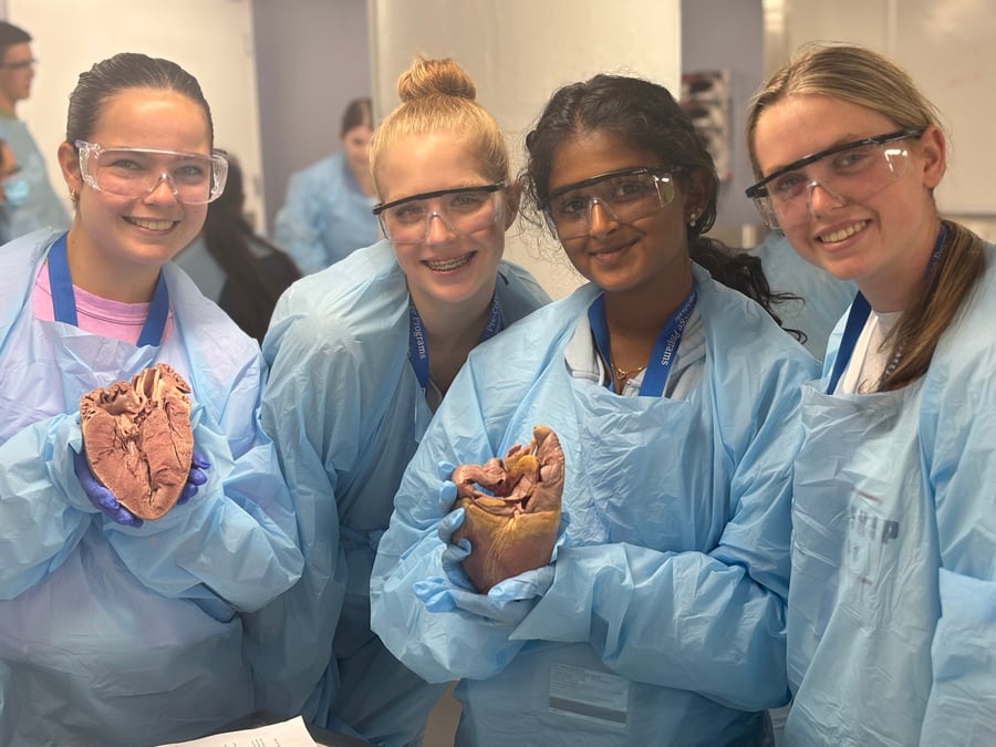 A Glimpse Into My Future: Experiencing Med School at Tufts Pre-College