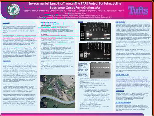 A Glimpse into College Life: Lab, Campus, and Connection