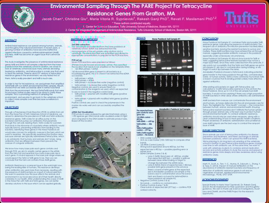 A Glimpse into College Life: Lab, Campus, and Connection