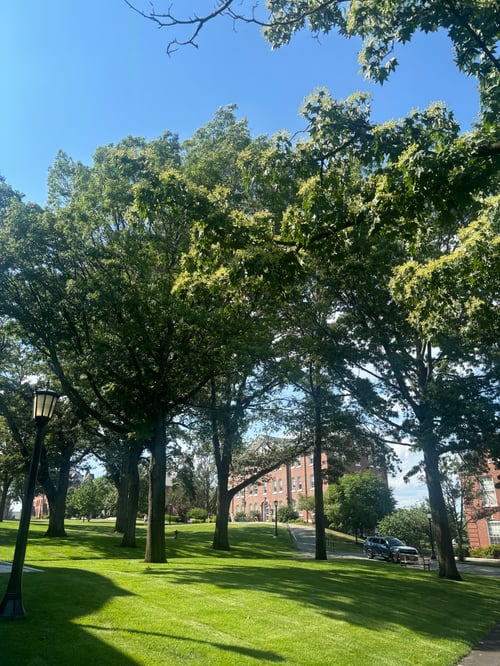 Stepping Out of My Comfort Zone