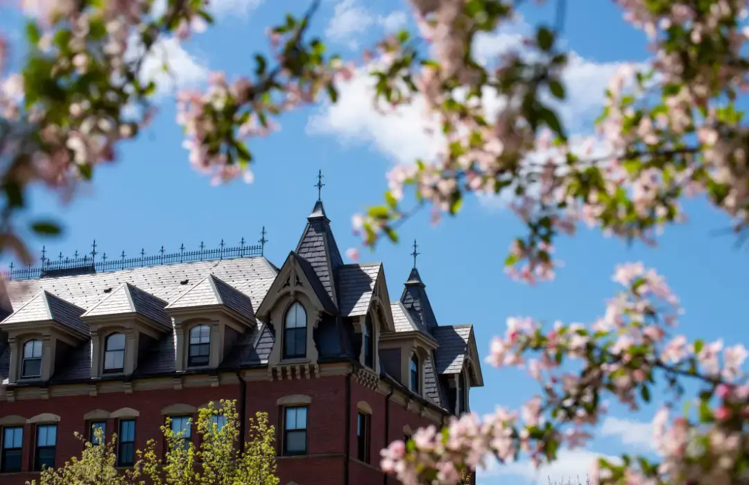 Spring registration (1)
